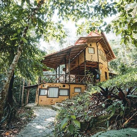 Chirapa Manta Amazon Lodge Lamas エクステリア 写真