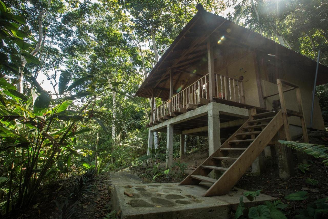 Chirapa Manta Amazon Lodge Lamas エクステリア 写真