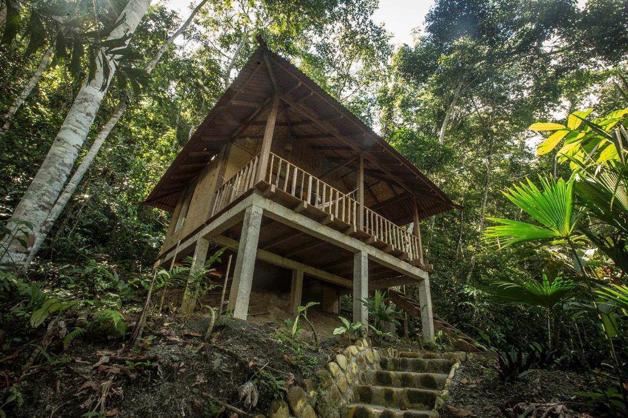 Chirapa Manta Amazon Lodge Lamas エクステリア 写真