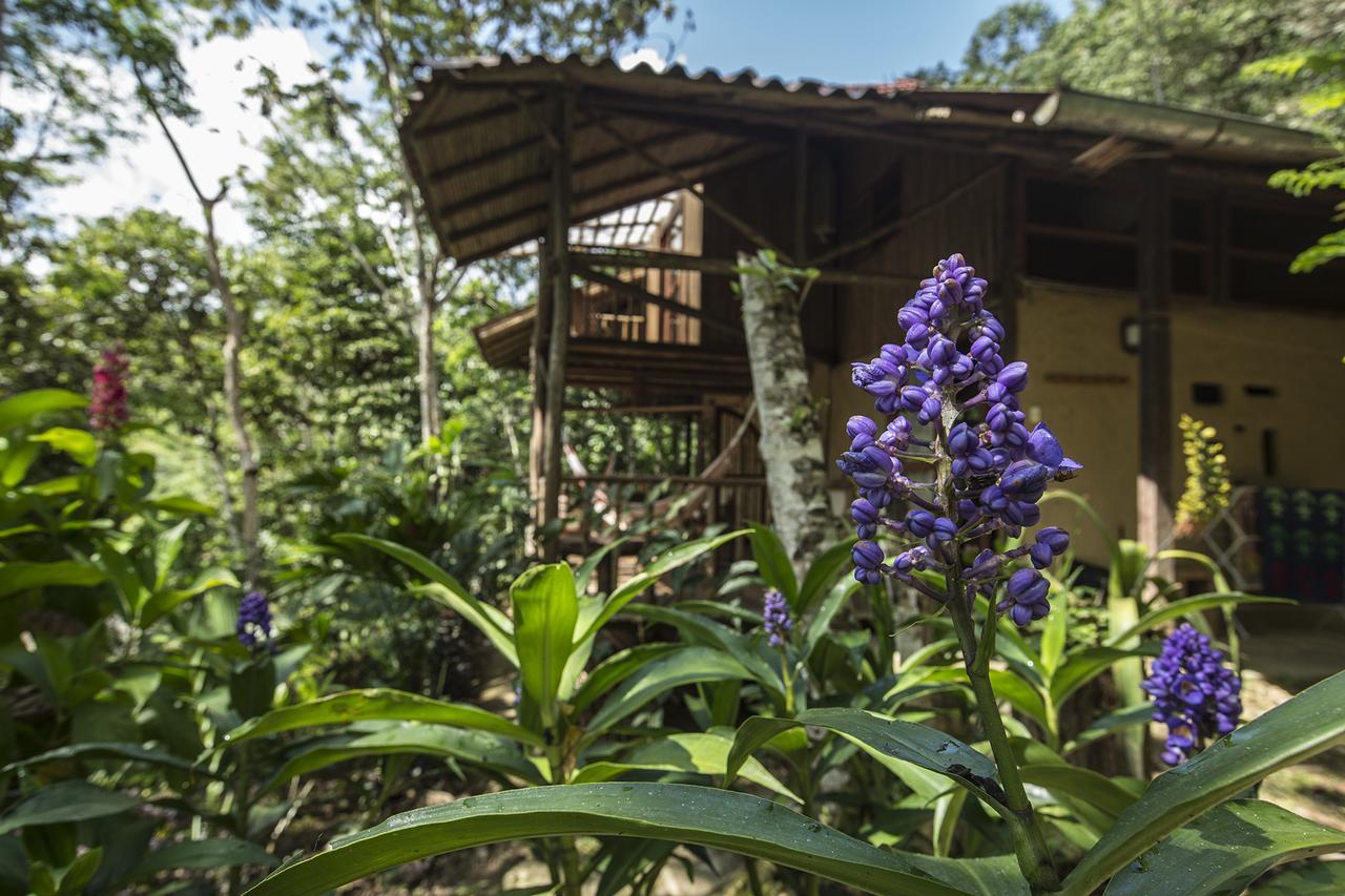 Chirapa Manta Amazon Lodge Lamas エクステリア 写真