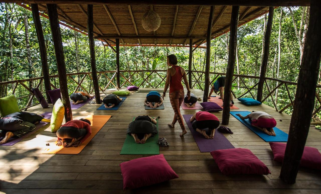 Chirapa Manta Amazon Lodge Lamas エクステリア 写真