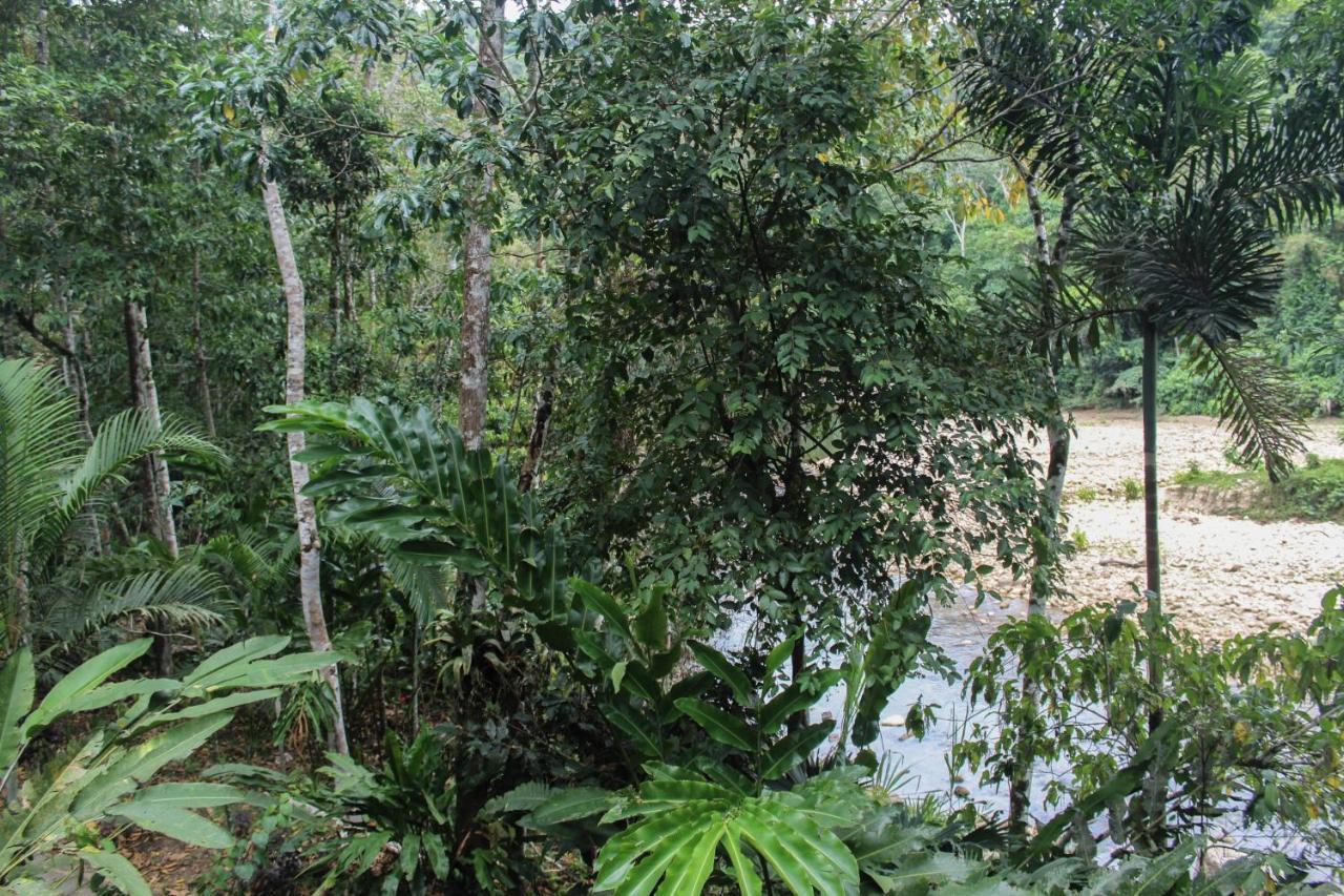 Chirapa Manta Amazon Lodge Lamas エクステリア 写真