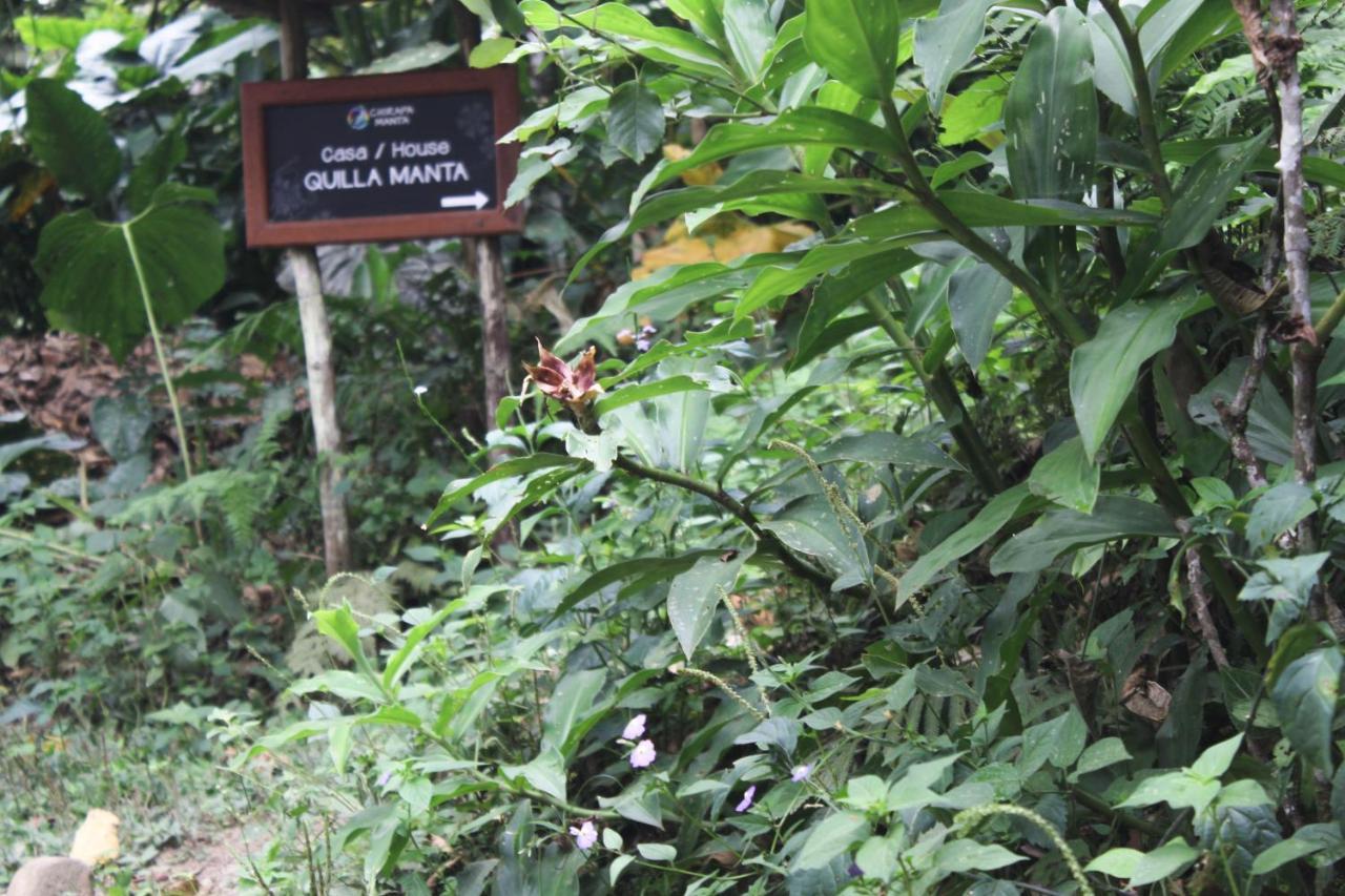 Chirapa Manta Amazon Lodge Lamas エクステリア 写真